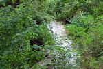 DSC_0429_Kopie_Ausschnitt.gif